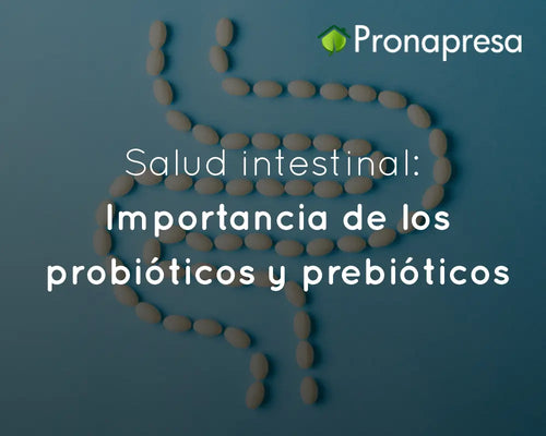 Salud Intestinal: Importancia de los probióticos y prebióticos