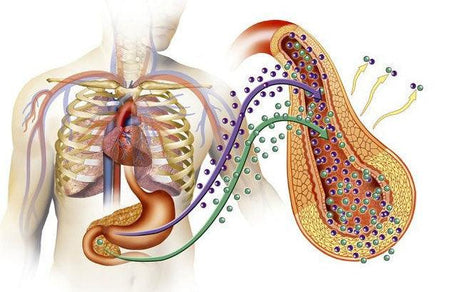 ¿Cómo saber si estás padeciendo prediabetes? - Tienda Naturista Pronapresa - Consejos, Diabetes, Dieta, Nutrición, Salud