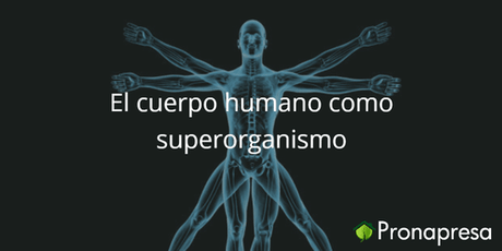 El cuerpo humano como superorganismo - Tienda Naturista Pronapresa - Bienestar, Consejos, Dato Curioso, Naturopatía, Nutrición, Salud