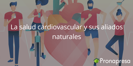 La Salud Cardiovascular y sus aliados naturales - Tienda Naturista Pronapresa - Bienestar, Consejos, Corazon, Salud, Sistema Circulatorio
