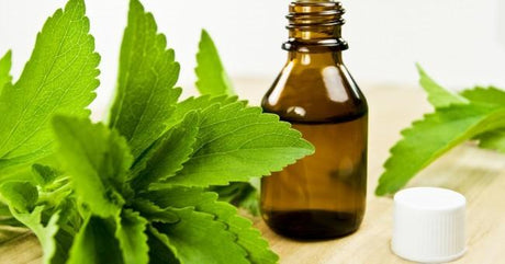 Remedios Naturales contra la Hipertensión Arterial - Tienda Naturista Pronapresa - Colesterol, Consejos, Hipertensión, Nutrición, Salud, Sistema Digestivo