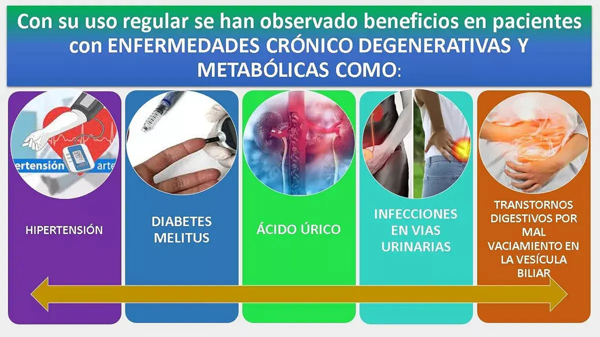 Tratamiento Anticalculosa Reivillo Hipertensión Infección urinaria