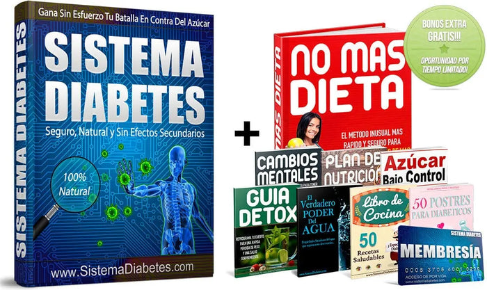 Guía Sistema Diabetes