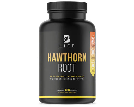 Beneficios Hawthorn Root B Life | Raíz de Tejocote Mejora la salud digestiva Propiedades depurativas