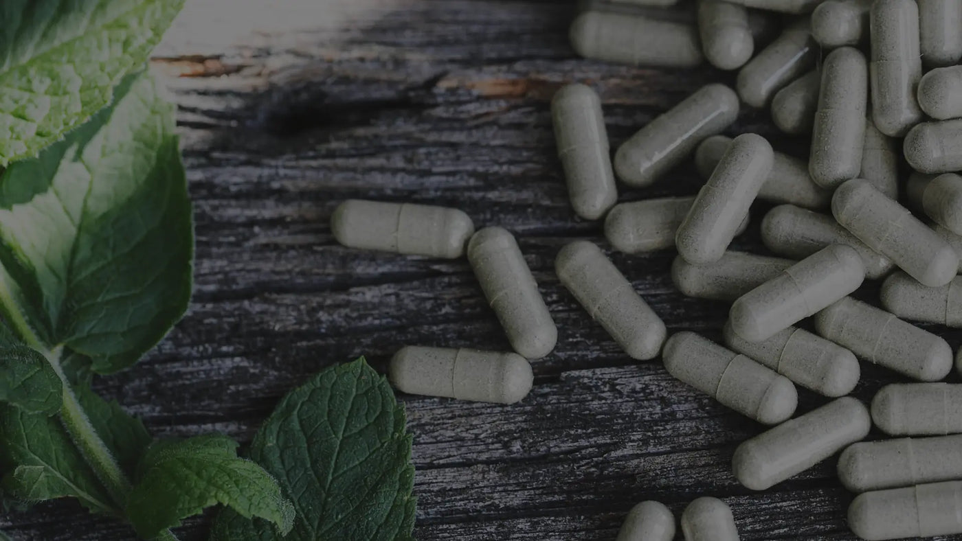 Suplementos alimenticios naturales y productos naturistas de las mejores marcas a precios de mayoreo. Catálogo de aparatología, equipos de Naturopatía y terapias alternativas para spa, hogar o negocio a los mejores precios.