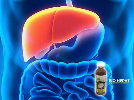 Cómo utilizar Bio Hepat