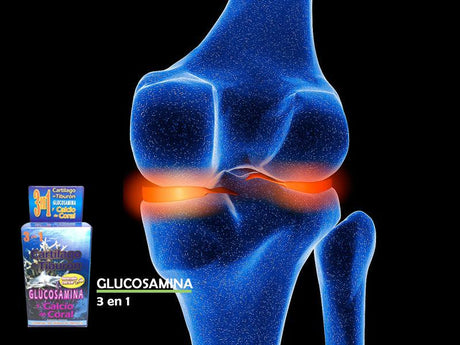 Glucosamina 3 en 1 Reforzado con Ajo - Tienda Naturista Pronapresa - Ajo, allium sativum, Analgésico, Antiinflamatorio, Artritis, Calcio de Coral, cartilago de tiburon, cartilagos, cartílago, Complementos Alimenticios, Glucosamina, Huesos, Magnesio, Metil Sulfonil Metano (MSM), MSM, Ortiga, Osteoartritis, Osteoporosis, Reuma, Reumas, Reumatismo, Sistema Articular, Sistema Óseo, Suplementos Alimenticios, Urtica, Urtica Dioica, Vitamina C, Vitamina D, Vitamina D3