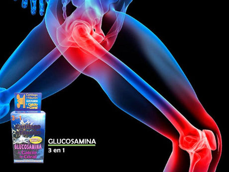 Glucosamina 3 en 1 Reforzado con Ajo - Tienda Naturista Pronapresa - Ajo, allium sativum, Analgésico, Antiinflamatorio, Artritis, Calcio de Coral, cartilago de tiburon, cartilagos, cartílago, Complementos Alimenticios, Glucosamina, Huesos, Magnesio, Metil Sulfonil Metano (MSM), MSM, Ortiga, Osteoartritis, Osteoporosis, Reuma, Reumas, Reumatismo, Sistema Articular, Sistema Óseo, Suplementos Alimenticios, Urtica, Urtica Dioica, Vitamina C, Vitamina D, Vitamina D3