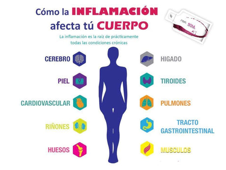 Soul by Rain International (30 sachets).