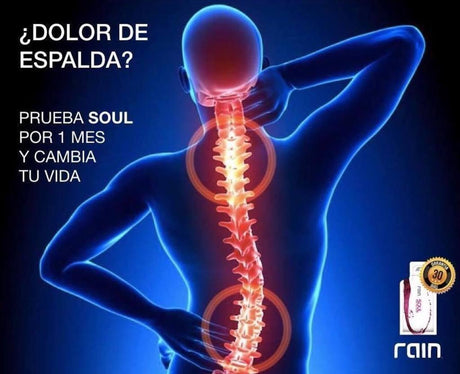 Soul by Rain International (30 sachets).